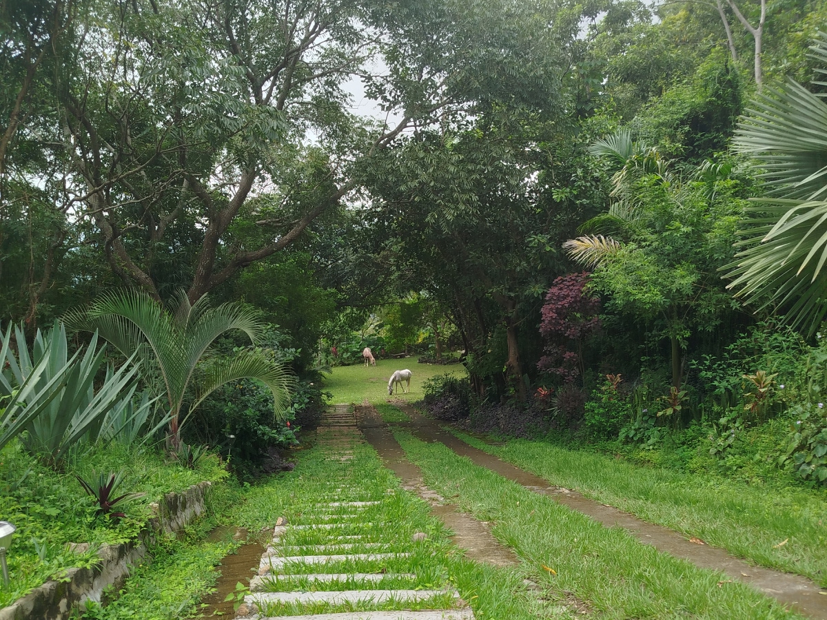 Utatlán, Panchimalco